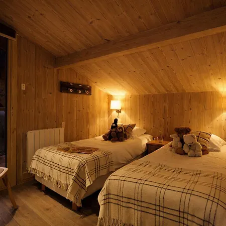 Moderne 5* A La Tania - 12 Pers, Jacuzzi, Sauna, Skis Aux Pieds, Cheminee, Cinema - Fr-1-575-154 *