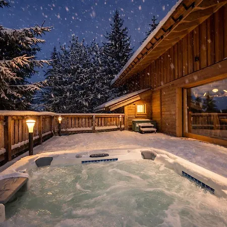 Moderne 5* A La Tania - 12 Pers, Jacuzzi, Sauna, Skis Aux Pieds, Cheminee, Cinema - Fr-1-575-154 *